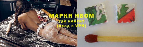 крисы Аркадак