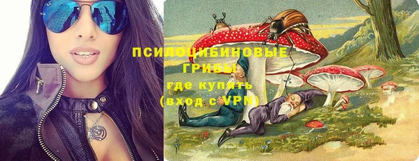 индика Арсеньев