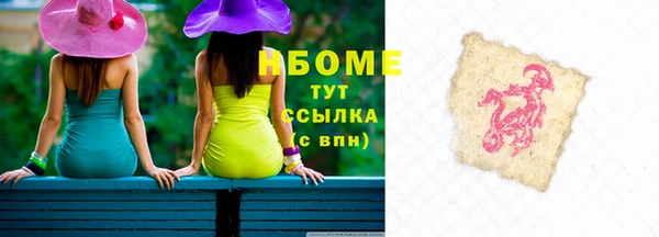 индика Арсеньев