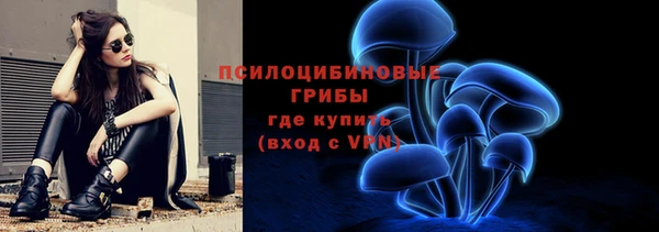 индика Арсеньев