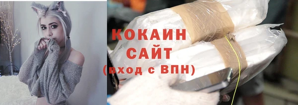 индика Арсеньев