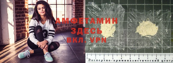крисы Аркадак