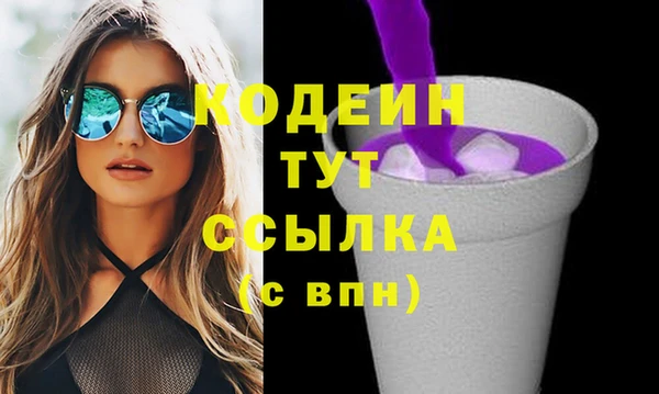 индика Арсеньев