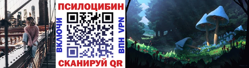 Галлюциногенные грибы Magic Shrooms  Нефтекумск 